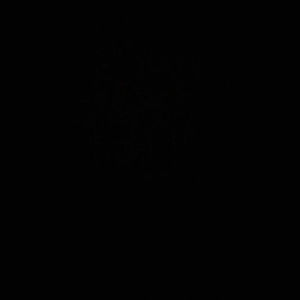 Meet your Posher, Aj